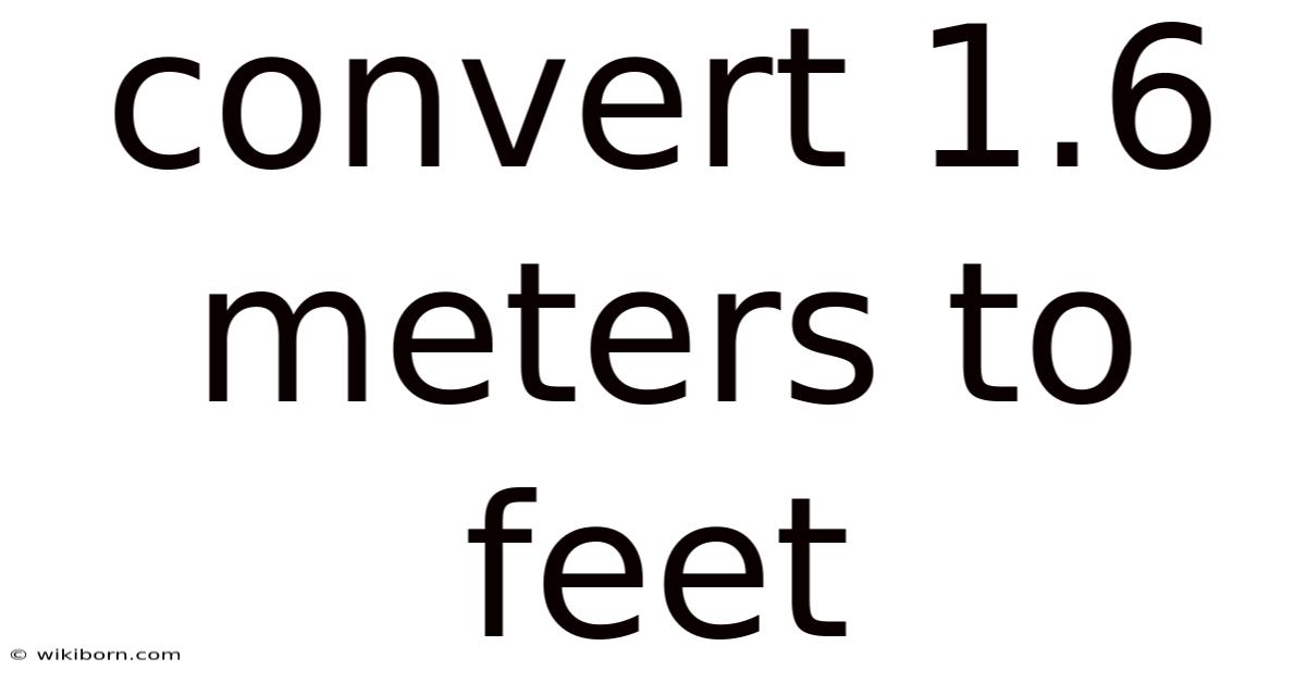 Convert 1.6 Meters To Feet
