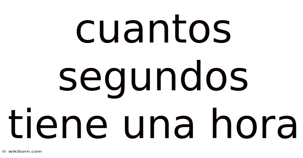Cuantos Segundos Tiene Una Hora