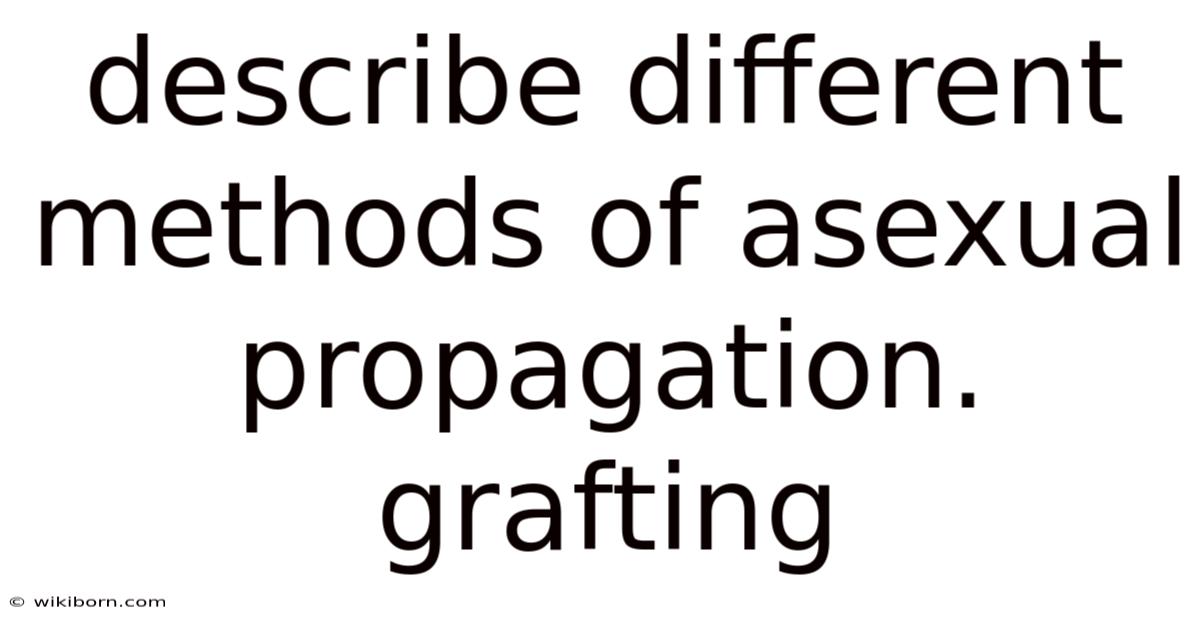Describe Different Methods Of Asexual Propagation. Grafting