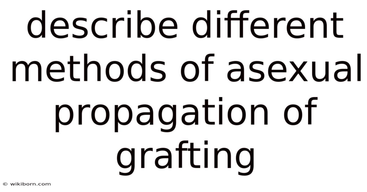 Describe Different Methods Of Asexual Propagation Of Grafting