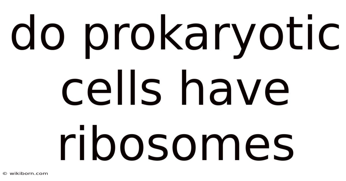 Do Prokaryotic Cells Have Ribosomes