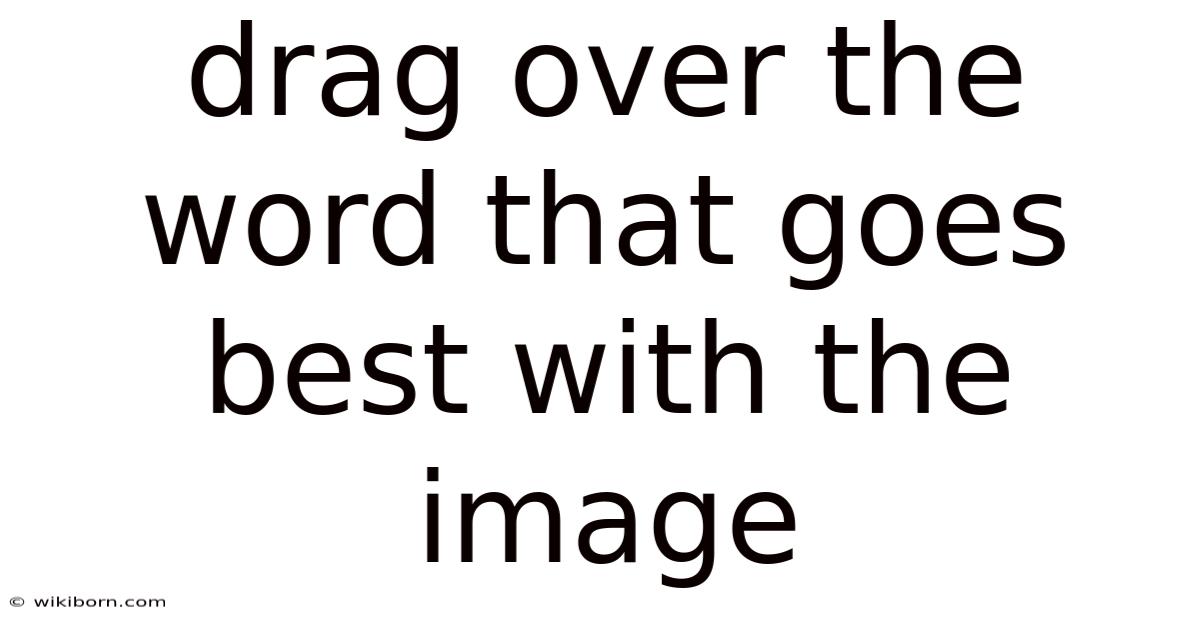 Drag Over The Word That Goes Best With The Image