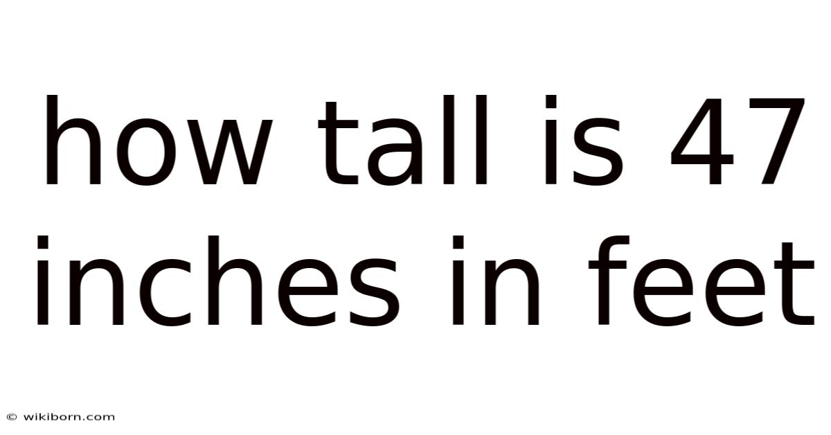 How Tall Is 47 Inches In Feet