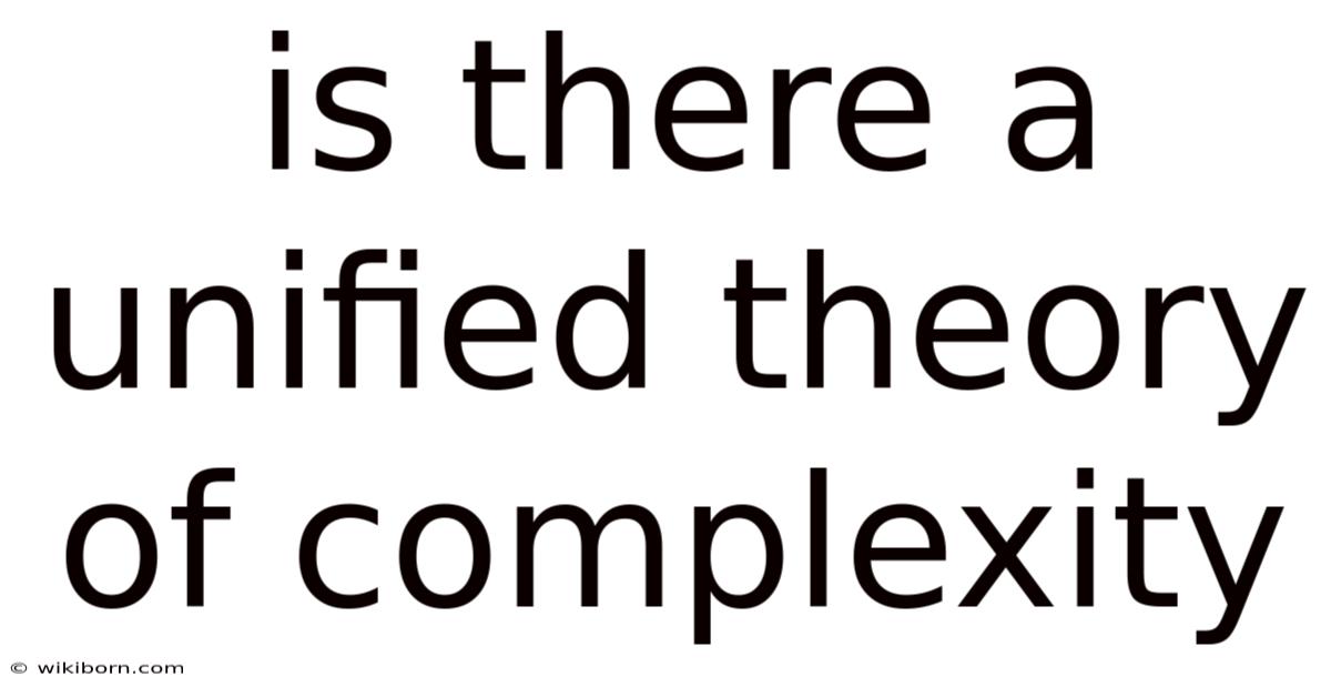 Is There A Unified Theory Of Complexity
