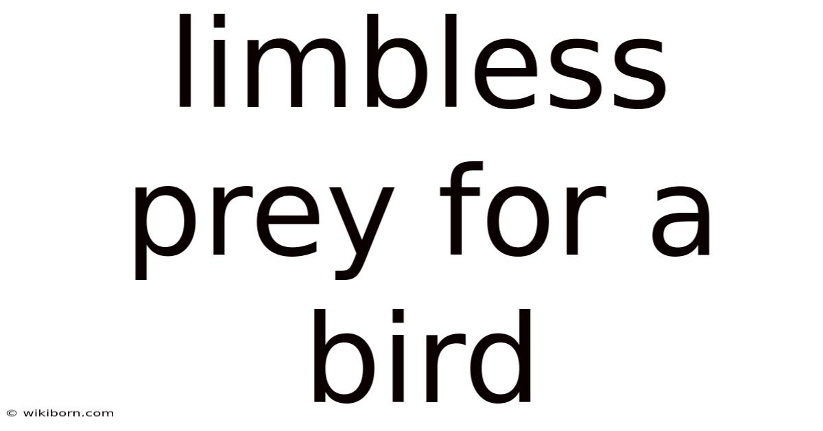 Limbless Prey For A Bird