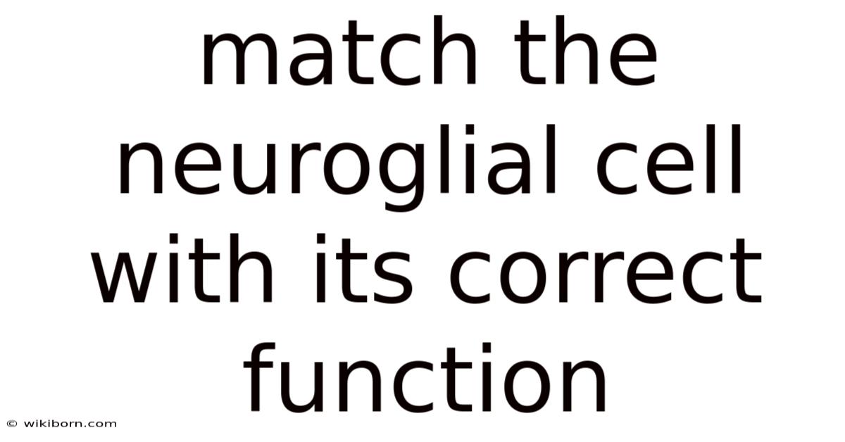 Match The Neuroglial Cell With Its Correct Function