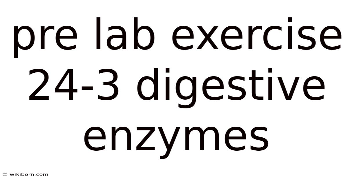 Pre Lab Exercise 24-3 Digestive Enzymes