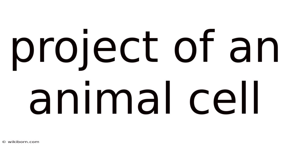Project Of An Animal Cell