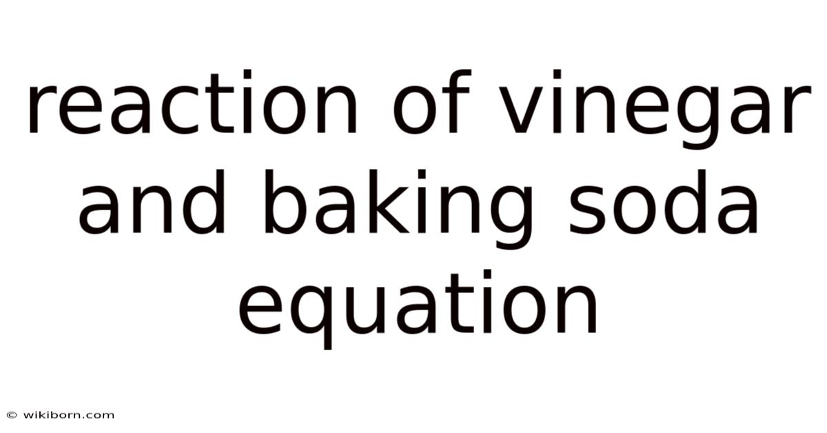 Reaction Of Vinegar And Baking Soda Equation