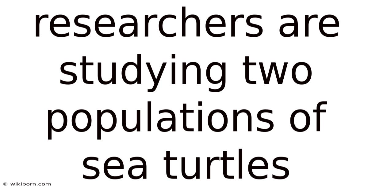 Researchers Are Studying Two Populations Of Sea Turtles