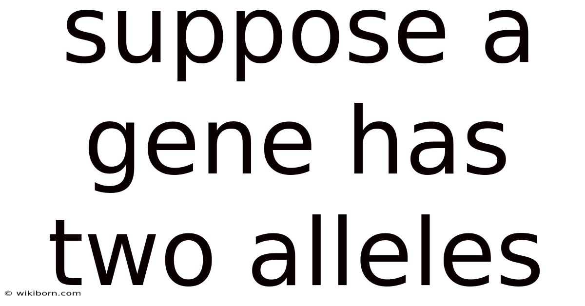Suppose A Gene Has Two Alleles