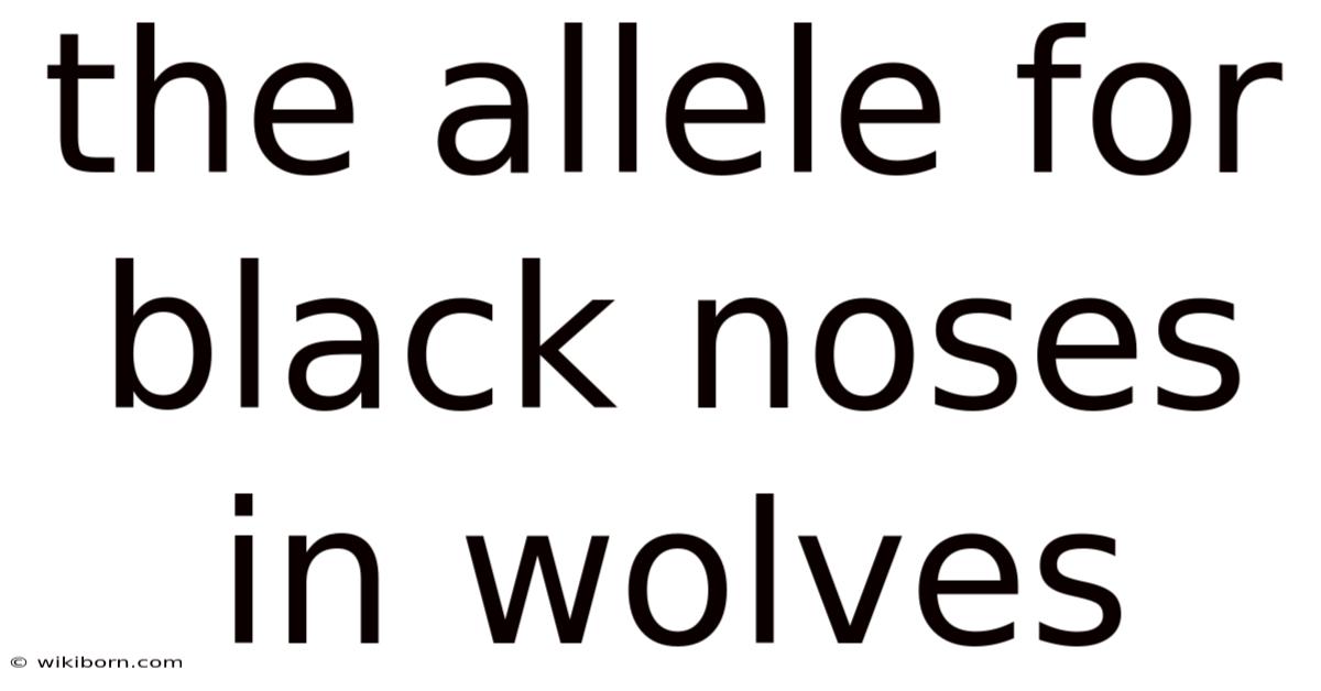 The Allele For Black Noses In Wolves