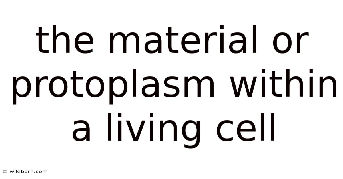 The Material Or Protoplasm Within A Living Cell