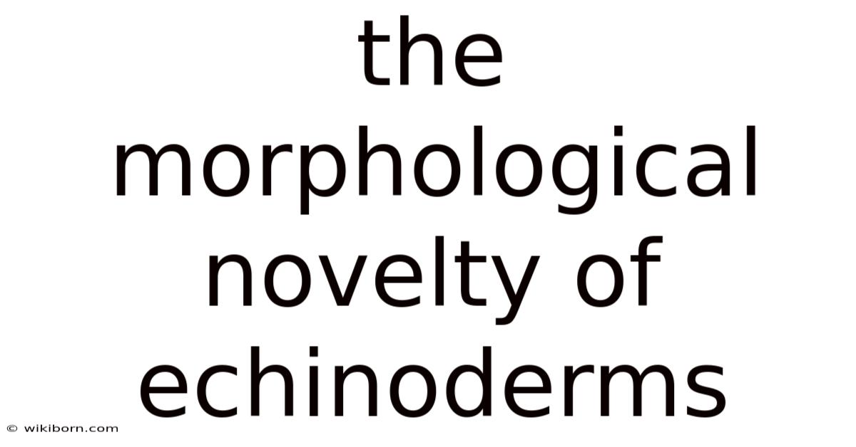 The Morphological Novelty Of Echinoderms