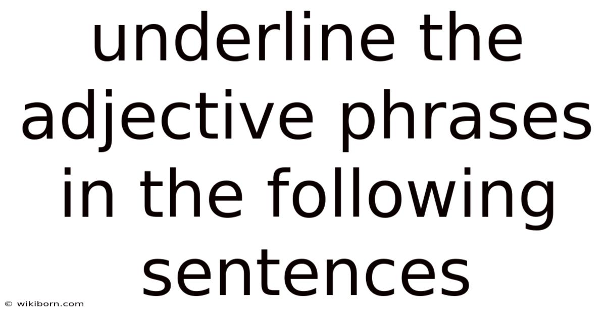Underline The Adjective Phrases In The Following Sentences
