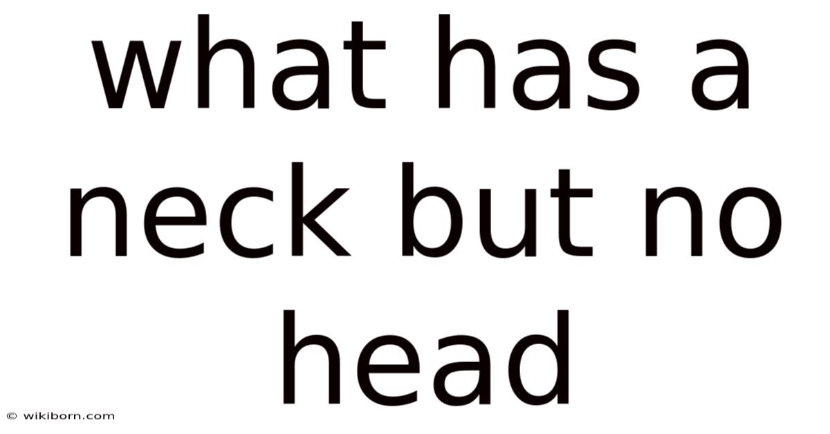 What Has A Neck But No Head