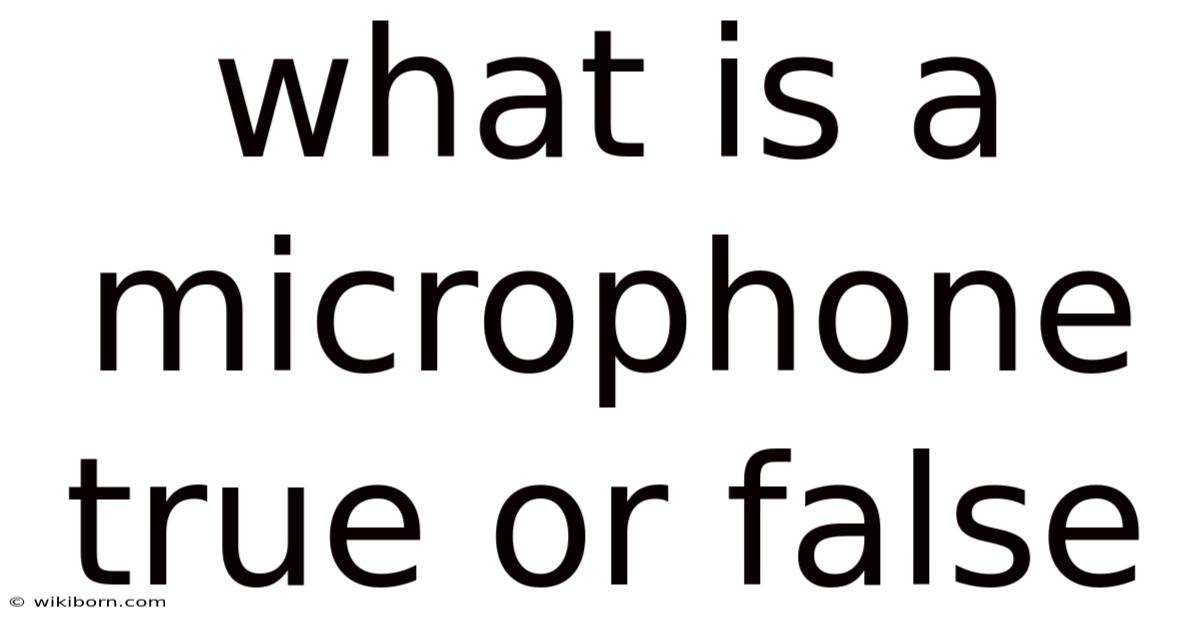 What Is A Microphone True Or False