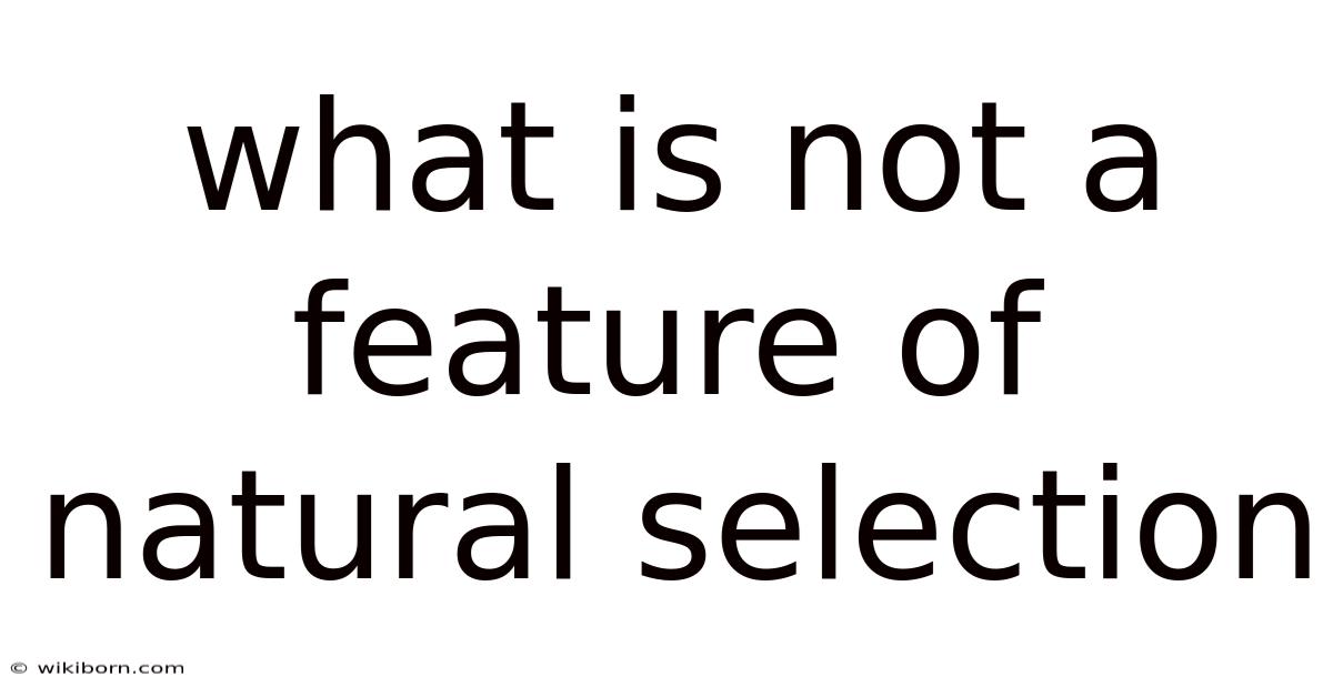 What Is Not A Feature Of Natural Selection
