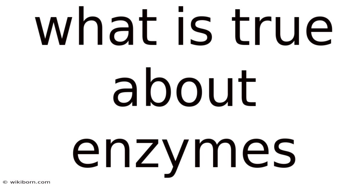 What Is True About Enzymes