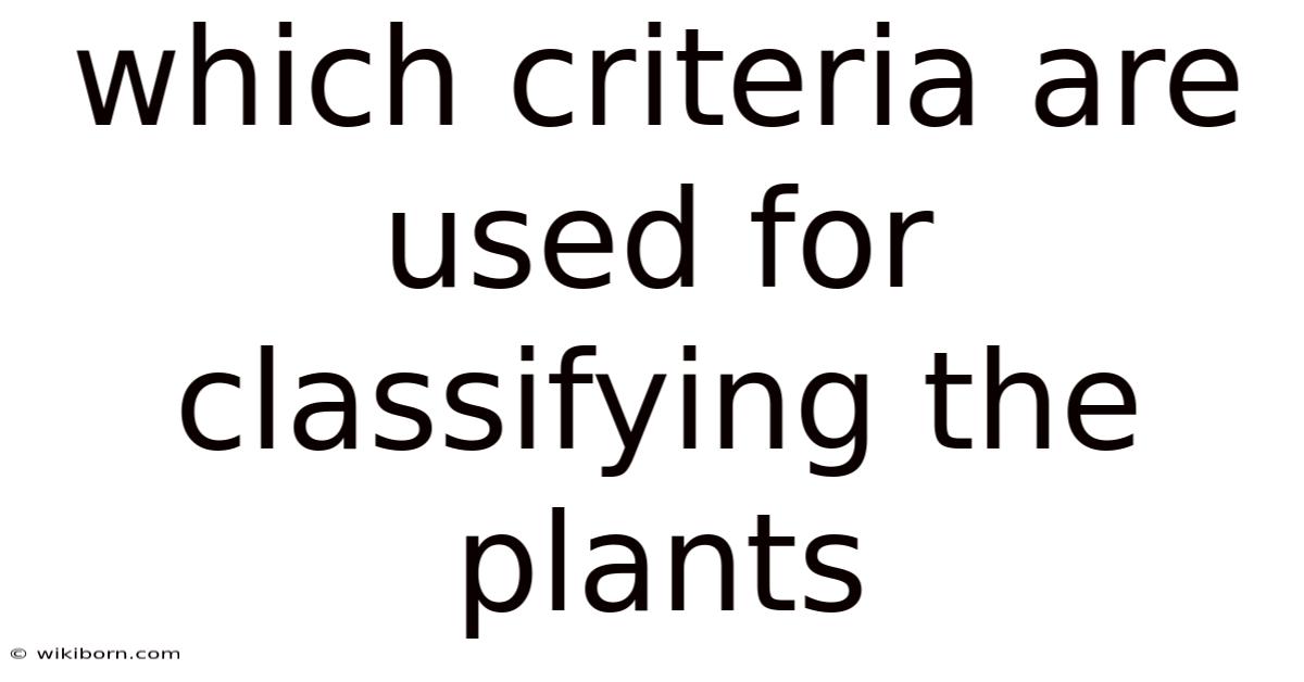 Which Criteria Are Used For Classifying The Plants