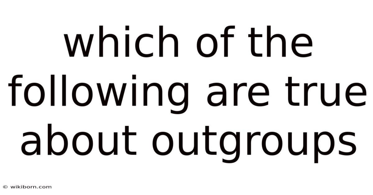 Which Of The Following Are True About Outgroups