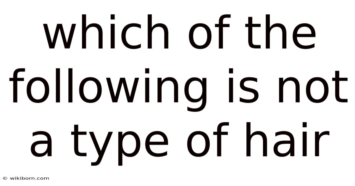 Which Of The Following Is Not A Type Of Hair