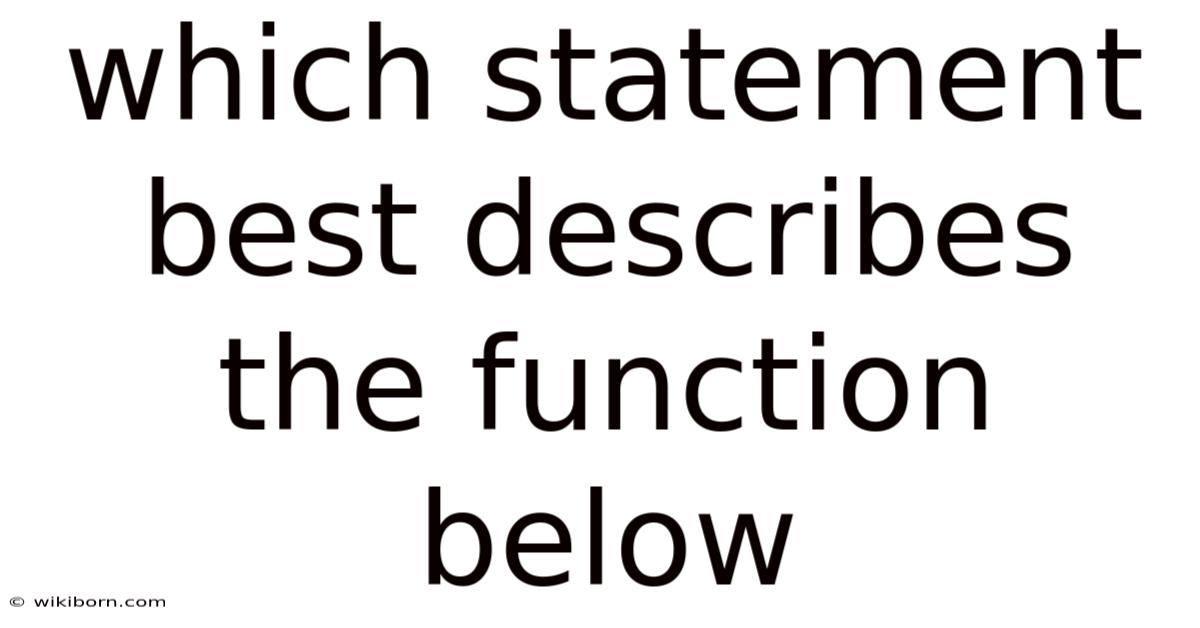 Which Statement Best Describes The Function Below